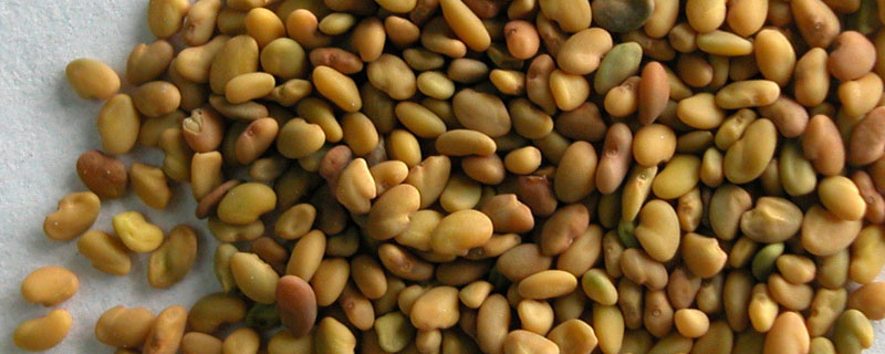 农作物种子标签管理办法 农作物种子标签管理办法和使用说明管理办法的作用