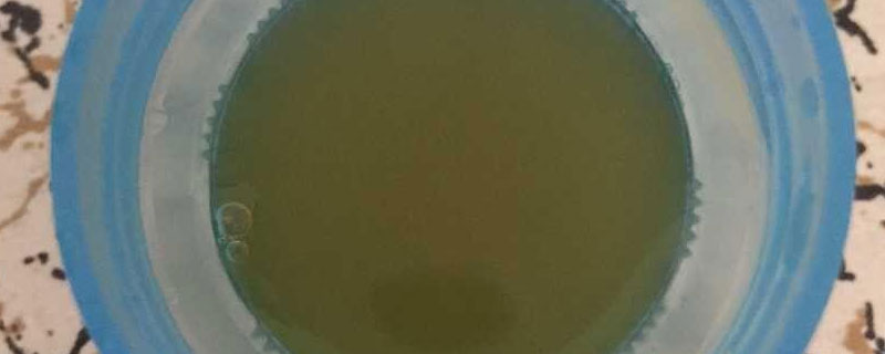 液肥多久加一次（水草液肥多久加一次）