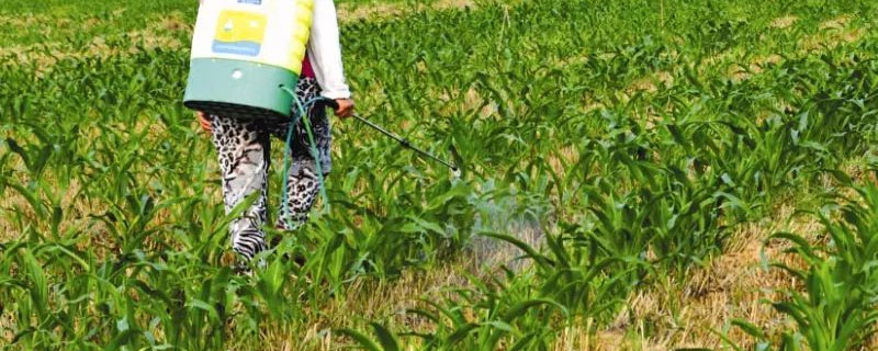 异丙甲草胺除草剂用于哪些 异丙甲草胺是除草剂吗