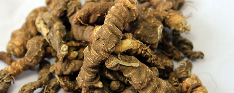 黄连和双黄连有什么区别 双黄连和黄连素有什么区别