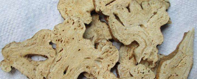 白术分几种 白术有哪些