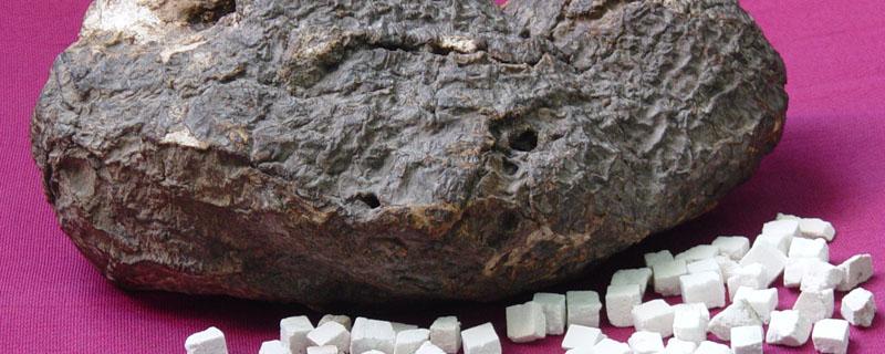 茯苓和白茯苓有什么区别 茯苓和白苓一样吗