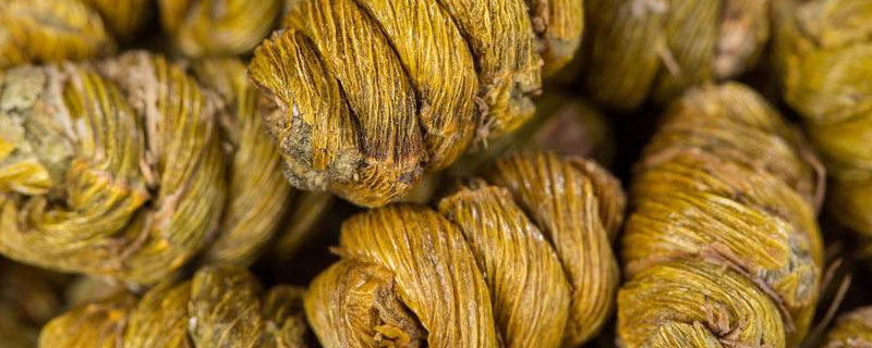 石斛寸金与枫斗的区别 石斛和石斛枫斗