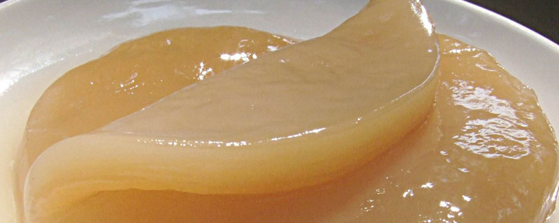 海宝菌怎样才培养成功（海宝菌培养失败图片）