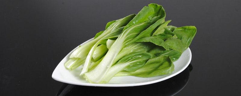 油菜需要过水吗 油菜需要过水吗?