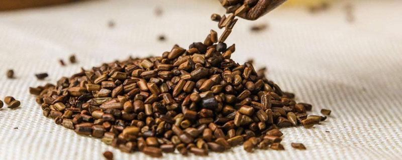 决明子分生和熟吗(决明子分生熟吗?)