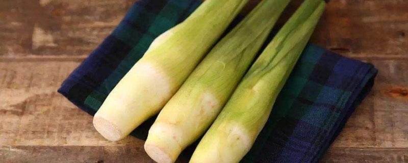 茭白一年四季都有吗（藠头一年四季都有吗）