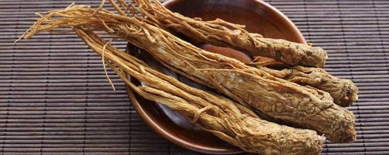 当归和党参的区别（当归和党参有什么区别）