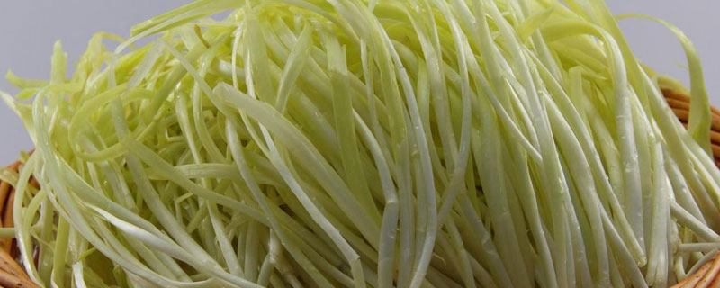 韭黄菜是绿通吗 韭菜花是绿通吗