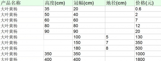 大叶黄杨的价格