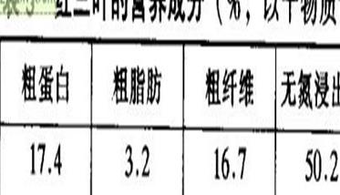 红三叶植物学特征及生物学特性（红三叶的种子是什么样子的）