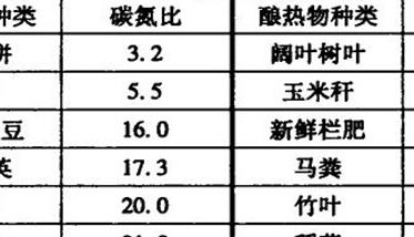 竹林提早出竹笋促成栽培要点 竹子出笋期间要注意什么