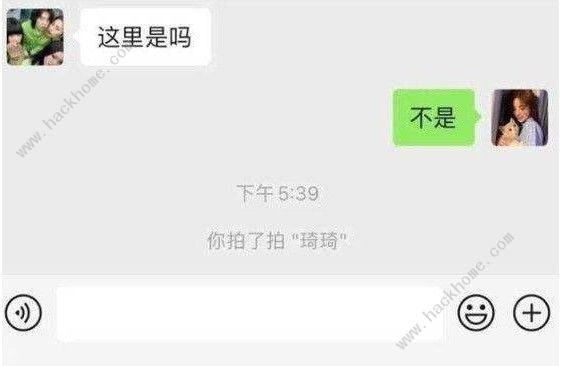 电脑版微信怎么拍一拍 PC版微信拍一拍使用教程[多图]图片1