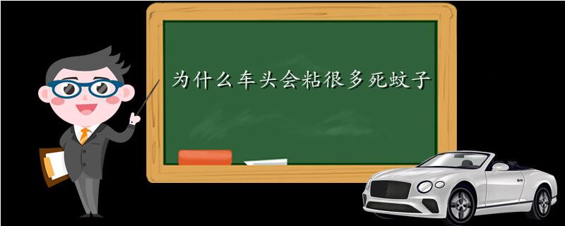 为什么车头会粘很多死蚊子