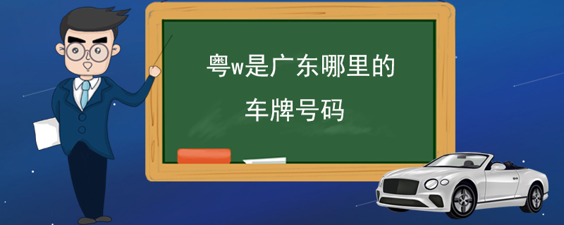 粤w是广东哪里的车牌号码