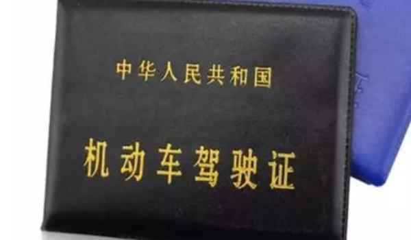 怎么查名下有没有驾照