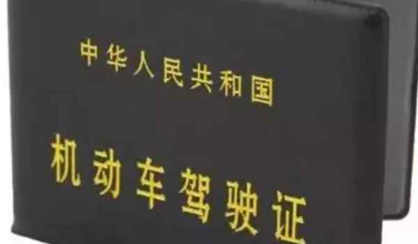 新学员车管所审核要多久