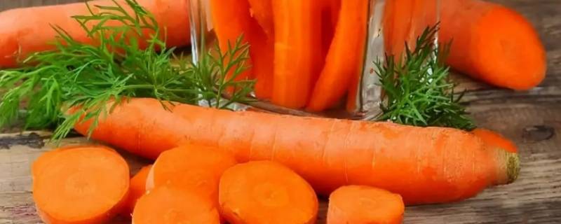 小人参是哪种蔬菜（小人参的蔬菜名字叫什么）