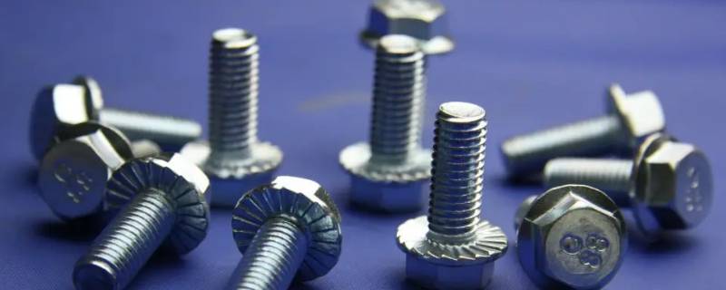 螺丝的种类 海鲜螺丝的种类