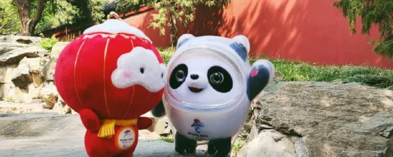 冰墩墩有啥用（冰墩墩有啥用?）