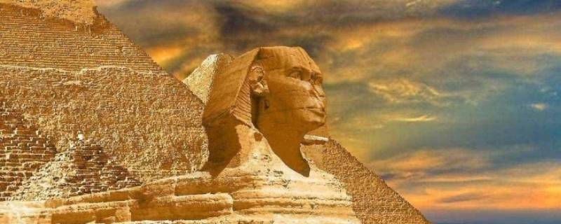 埃及的吉祥动物是什么（埃及的吉祥动物是什么动物）