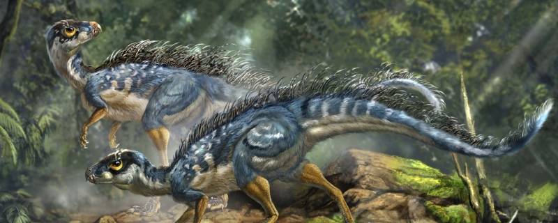 中国有哪些恐龙(中国有哪些恐龙化石)