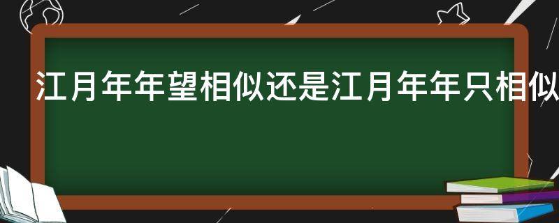 江月年年望相似还是江月年年只相似（江月年年望相似还是江月年年只相似好）