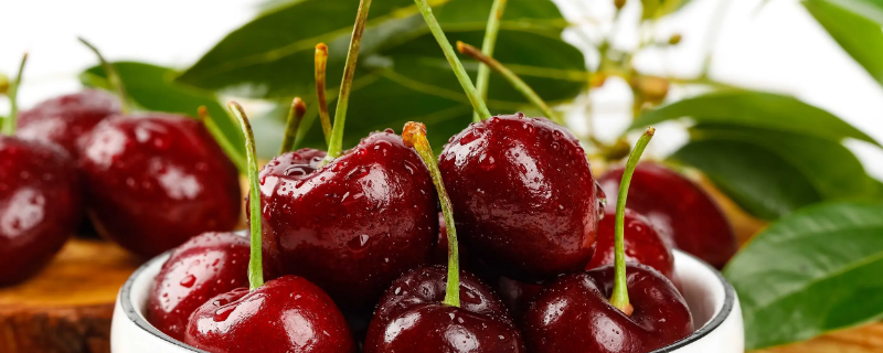 车厘子一年四季都有吗（车厘子每个季节都有吗）