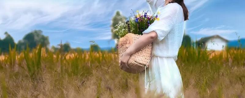 双十年华是什么数字(双十年华打一数字)