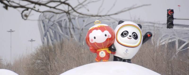 冰墩墩规格多大(冰墩墩介绍)