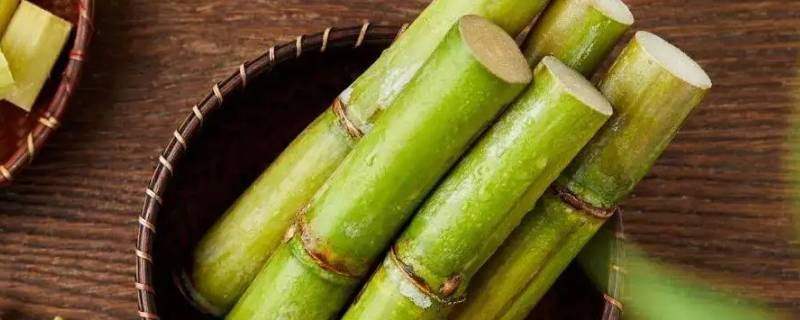 1月2月应季水果有哪些（1到2月应季水果）