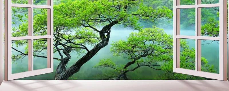 窗户往下扩大一点可以吗（阳台窗户能往下扩大一些吗）