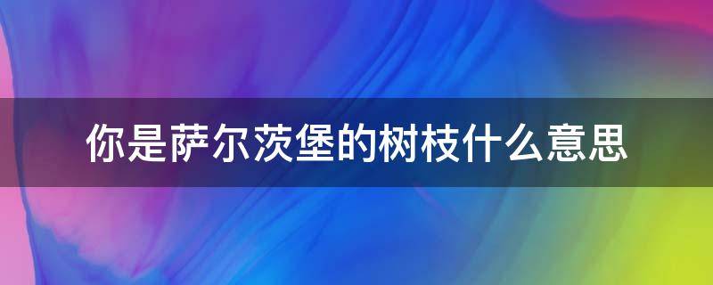 你是萨尔茨堡的树枝什么意思（你是我的萨尔茨堡的树枝什么意思）