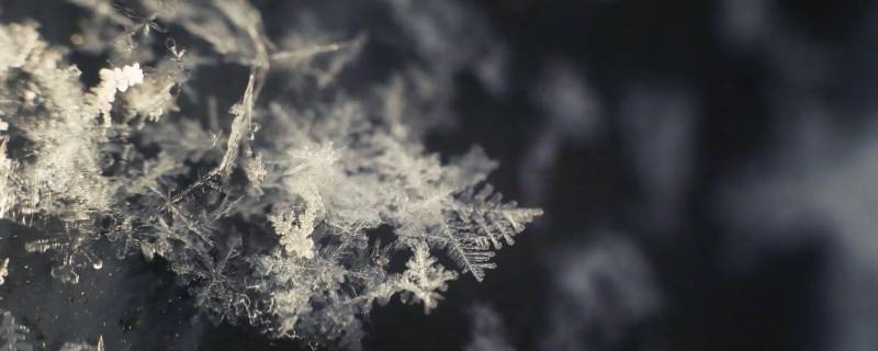 人造雪和天然雪的区别 人造雪是什么样的