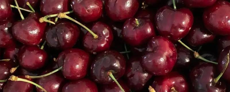 3jd代表什么意思 3J是什么意思