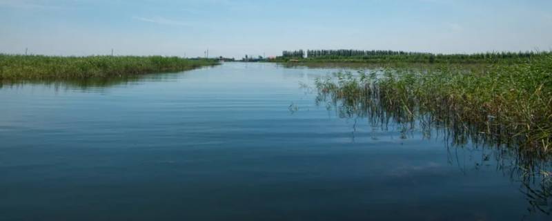 潴龙河在什么地方 潴龙河水到哪里了