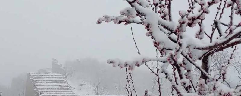 立春后下的雪叫什么雪（立春后下大雪有什么说法）