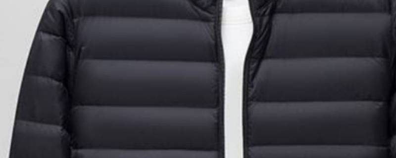 大鹅羽绒服能用洗衣机洗吗（小天鹅洗衣机能不能洗羽绒服）