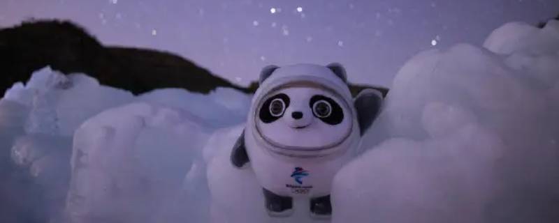 冰墩墩的外壳代表着什么（冰墩墩象征着什么）