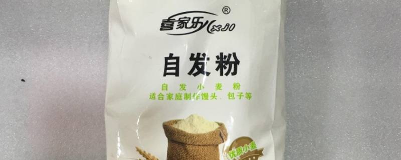 自发粉做包子要不要醒发（自发粉可以直接做包子吗）