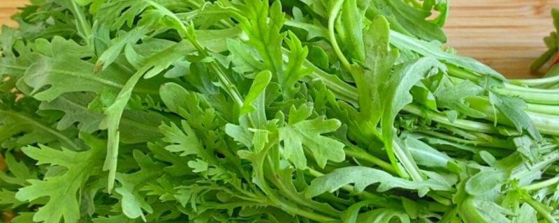 鹅菜又叫什么菜（鹅吃的菜叫什么名字）