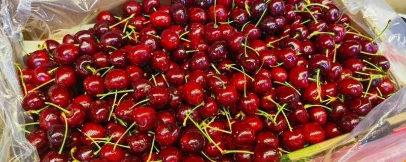 车厘子可以托运吗（车厘子可以放行李箱托运吗）