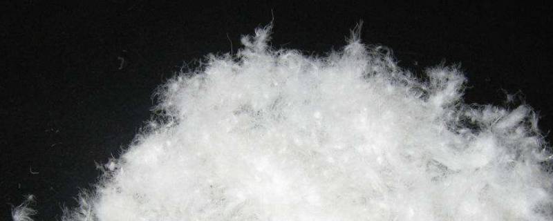 90白鸭绒和80有啥区别（80白鸭绒和90有什么区别）