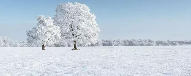 10毫米雪是多大（10毫米等于多少厘米）