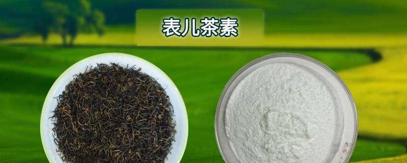 儿茶素是什么东西（儿茶素类物质）