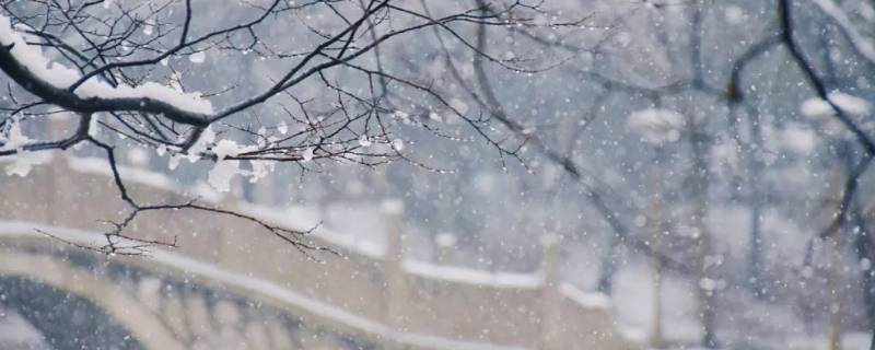 洁白无瑕的雪象征着什么 形容雪洁白无瑕的意思