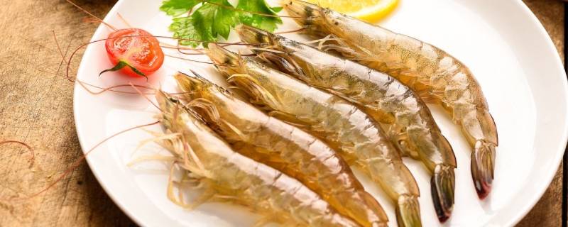 虾能放多久 基围虾能放多久