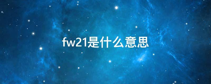 fw21是什么意思 fw21表示什么