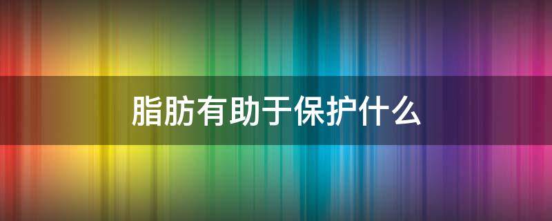 脂肪有助于保护什么 脂肪有助于保护什么器官