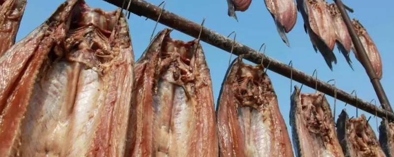 腌好的鱼要不要洗一下晒太阳 腌鱼晒之前要不要洗